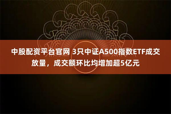 中股配资平台官网 3只中证A500指数ETF成交放量,成交额环比均增加超5亿元