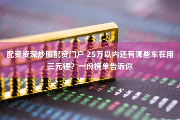 配资资深炒股配资门户 25万以内还有哪些车在用三元锂？一份榜单告诉你