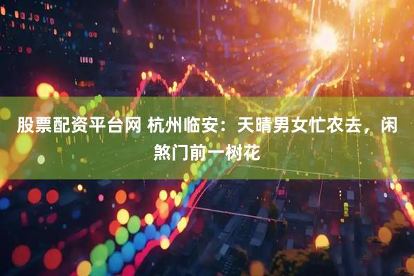 股票配资平台网 杭州临安:天晴男女忙农去,闲煞门前一树花
